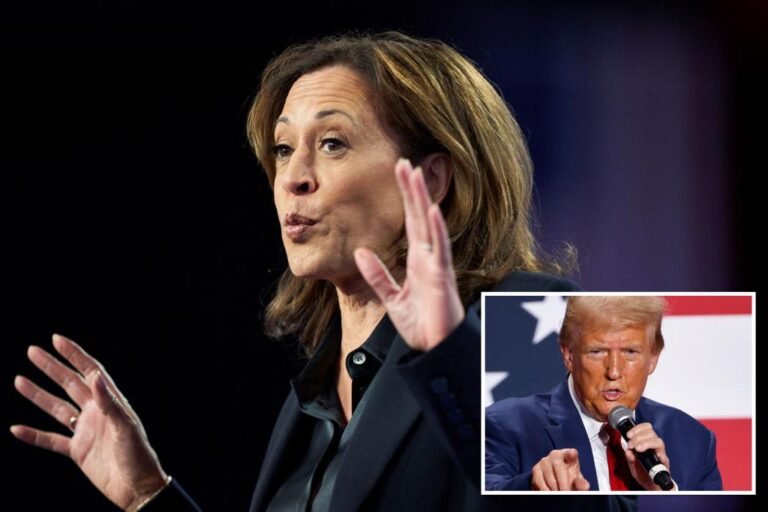 Harris campaign is in 'danger zone' as Americans worry about running country, CNN data guru says

